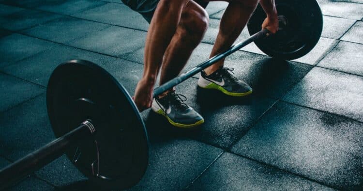 sports equipment fitness