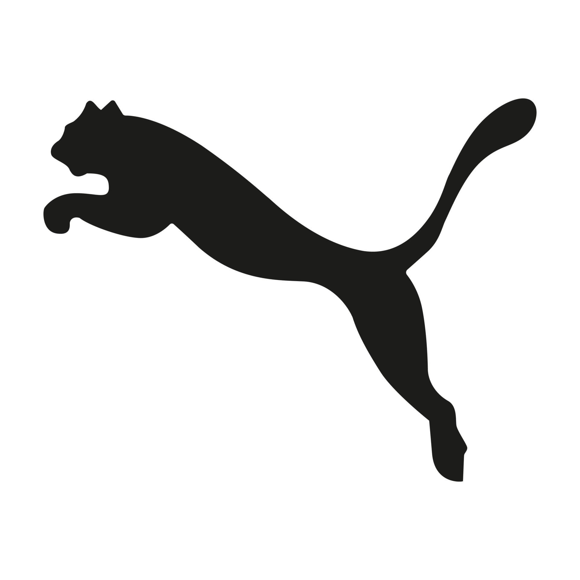 puma logo and art free vector